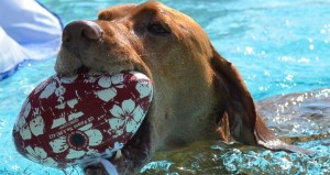 Barty w ball close up